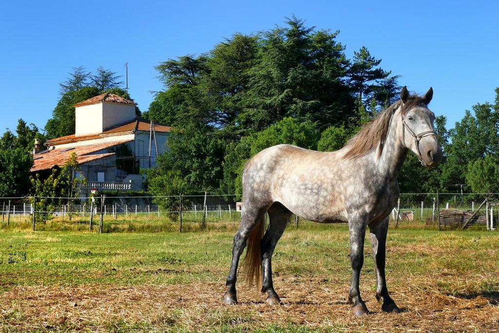 Domaine De Majastre Bed & Breakfast Bauduen Exterior foto